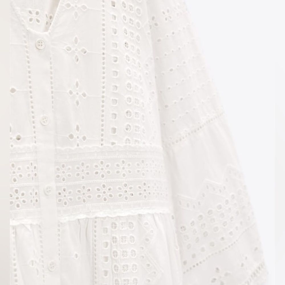 Zara Embroidered Openwork Dress - Picture 10 of 10